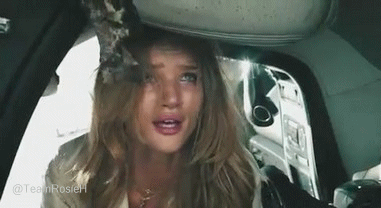 post-49177-0-1446092399-25205_thumb.gif