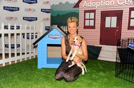 Amy Smart - Launch of PetArmor Protection Promise - 020412_006.jpg