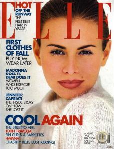 000000213320-niki_taylor-fit.jpg