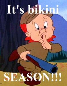 Elmer_fudd.jpg