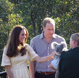 Kate-William-petted-koala-zoo-Australia.jpg