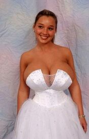 Image result for big breast wedding dress.jpg