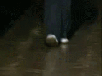 post-18327-0-1446437159-6354_thumb.gif