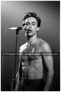 iggy04067Iggy.jpg