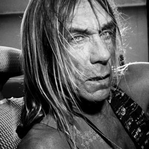 iggy14028886_14028889_slarge.jpg