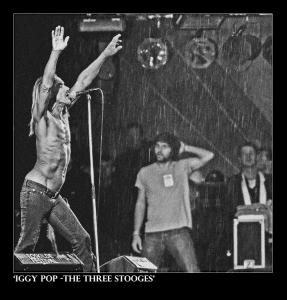 iggy20070602020011_iggy_in_the_rain.jpg