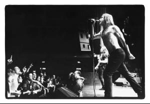 Iggy_Pop_1.jpg