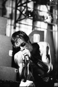 IggyPop8.jpg