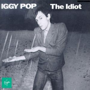 iggytheidiot.jpg