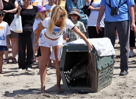 celebrity_paradise.com_Pamela_Anderson_supporting_PETA_at_Malibu_Beach_02.05.2010_10.jpg