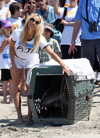 celebrity_paradise.com_Pamela_Anderson_supporting_PETA_at_Malibu_Beach_02.05.2010_11.jpg