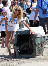 celebrity_paradise.com_Pamela_Anderson_supporting_PETA_at_Malibu_Beach_02.05.2010_12.jpg