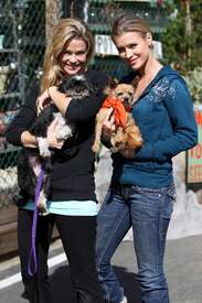 DeniseRichardsVolunteer5246.jpg