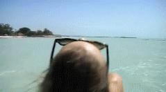 post-35528-1272851898_thumb.gif