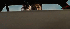 post-35528-1273200717_thumb.gif