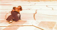 post-35528-1273543795_thumb.gif