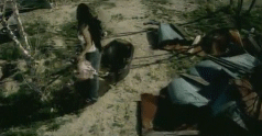 post-35528-1273547023_thumb.gif