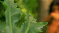 post-35528-1273981491_thumb.gif