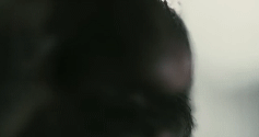 post-35528-1274064256_thumb.gif