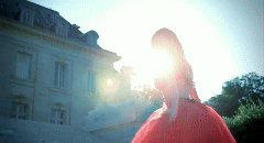 post-35528-1274583898_thumb.gif