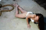 post-35528-1274817476_thumb.gif