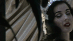 post-35528-1274841419_thumb.gif
