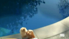 post-35528-1275196864_thumb.gif