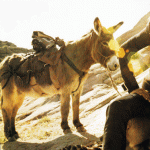 th_73688382641943.gif