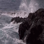 post-35528-0-1446096197-21155_thumb.gif