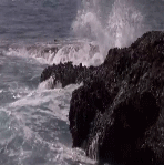 post-35528-0-1446096197-26575_thumb.gif