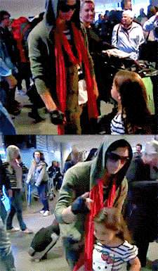post-36249-0-1446113808-60571_thumb.gif