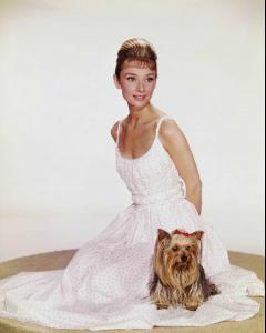 28806_celebrity_city_Audrey_Hepburn_84_122_482lo.jpg