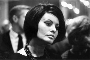 Sophia_Loren_54_521lo.jpg