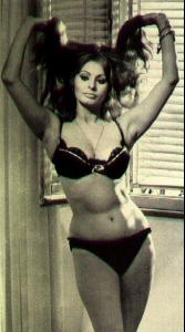 sophia_loren_gallery_26.jpg