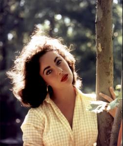 elizabethtaylor0292.jpg