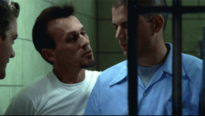 post-37737-1306270215_thumb.gif