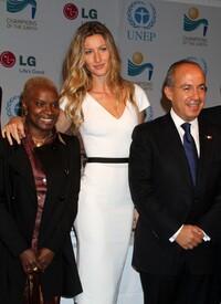 gisele-bundchen-hosts-201-164.jpg