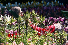 rosiehw030514BZNimage011.jpg
