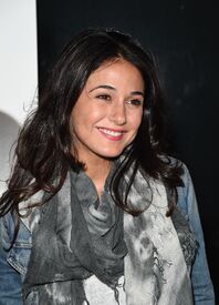 echriqui090514BZNimage002.jpg