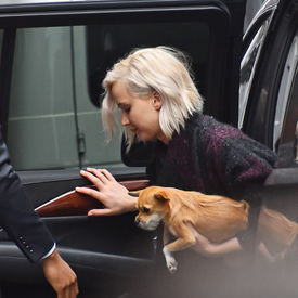 jlaw050516BZNimage9.jpg