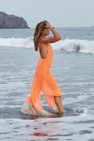 IMG_3812_-687x1030.jpg