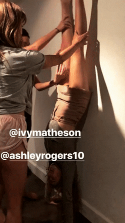 GleamingRemorsefulLadybird-size_restrict.gif