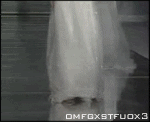 post-6404-0-1445995460-25041_thumb.gif