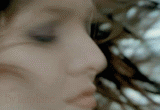 post-8181-1180881713_thumb.gif