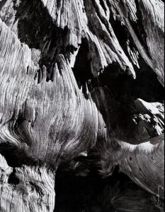 00576_scan0196_122_518lo.jpg