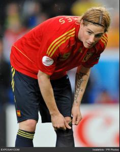 fernando_torres_euro2008_calcio_group_d_soccer_match_sweden_vs_spain_1_2_june_14_2008_1ZH1BI.jpg