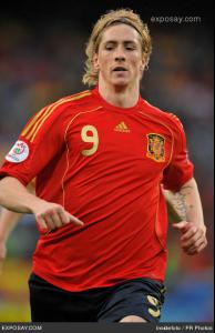 fernando_torres_euro2008_calcio_group_d_soccer_match_sweden_vs_spain_1_2_june_14_2008_uNRkJw.jpg