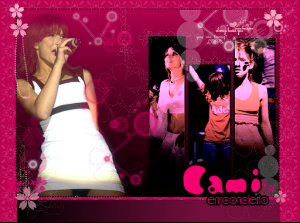 laycamisecciones1nm51wd3.png