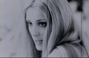 deneuve_.jpg