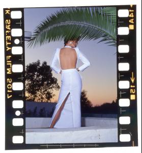 patti_hansen_1.jpg